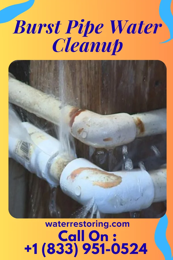 Burst Pipe Water Cleanup in Hilldale, PA