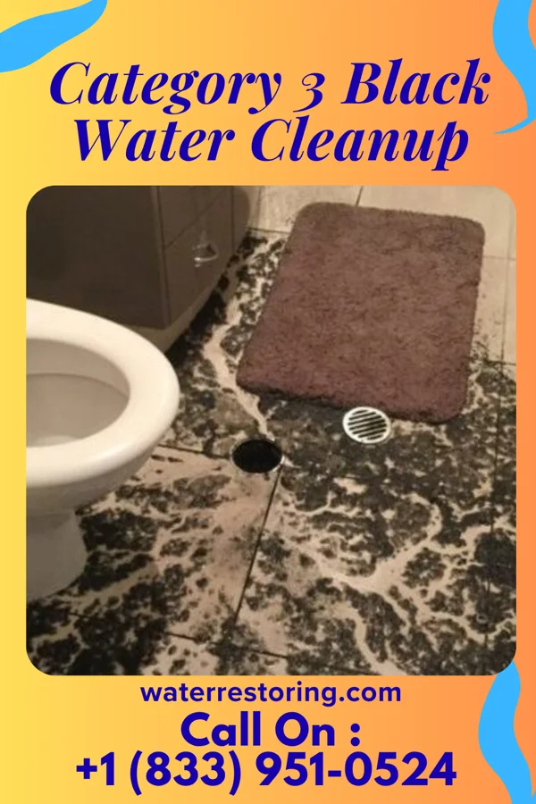 Category 3 Black Water Cleanup in Hilldale, PA