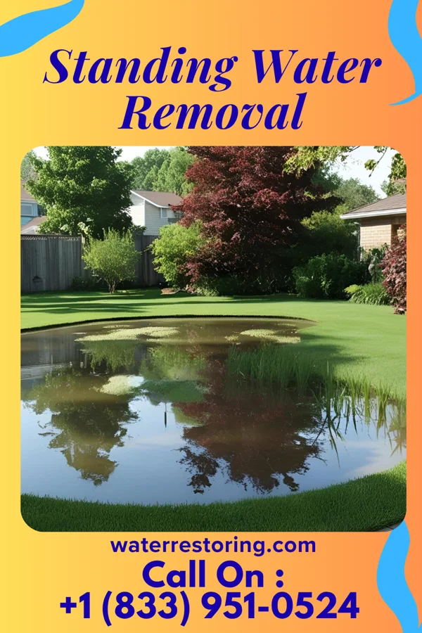 Standing Water Removal in Hilldale, PA